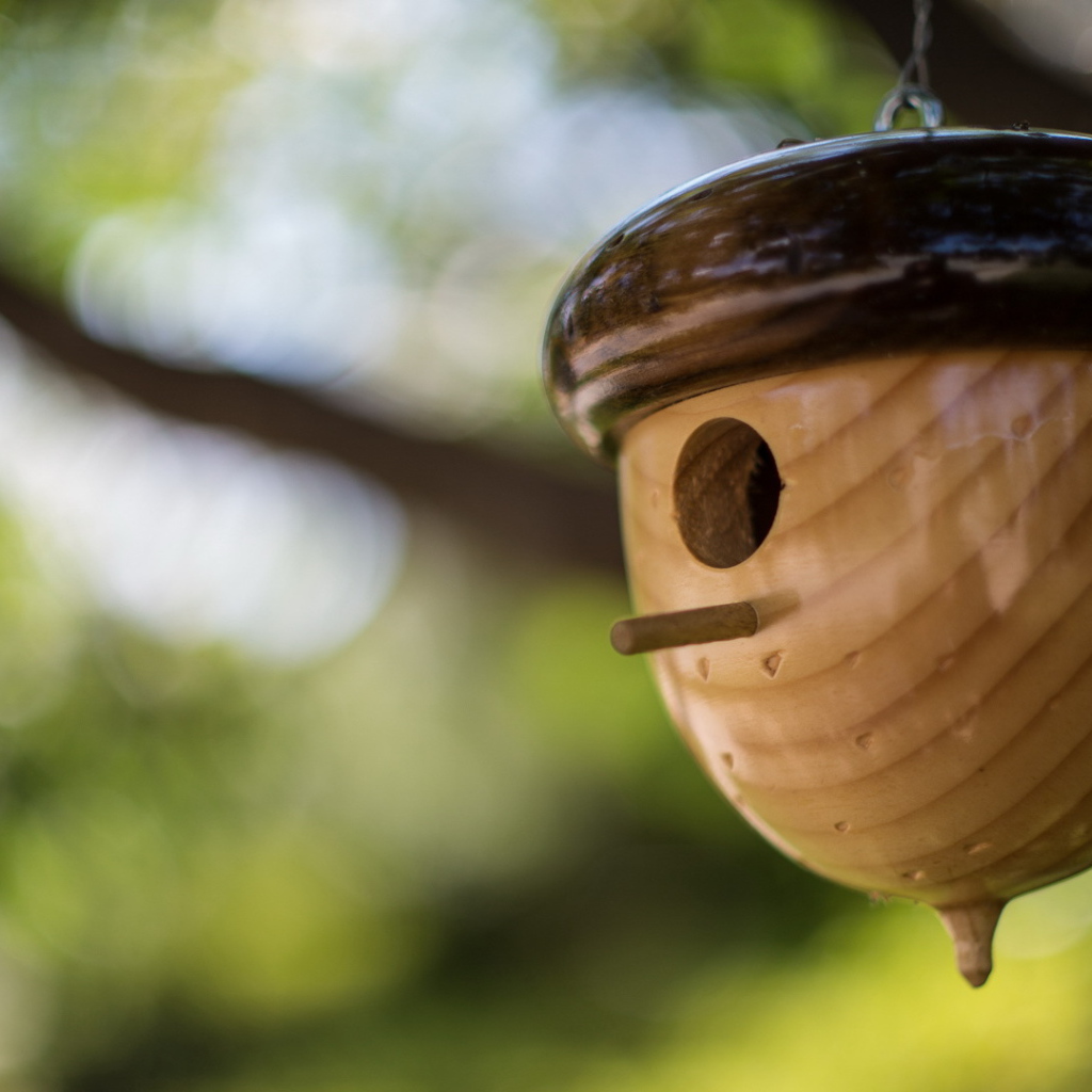 Домик в форме желудя