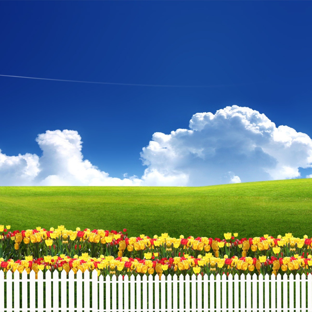 Чистое небо