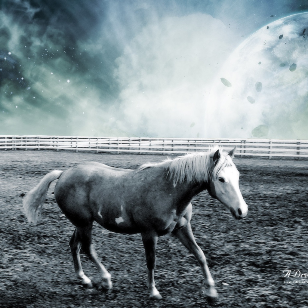 Лошадь в фантастическом мире