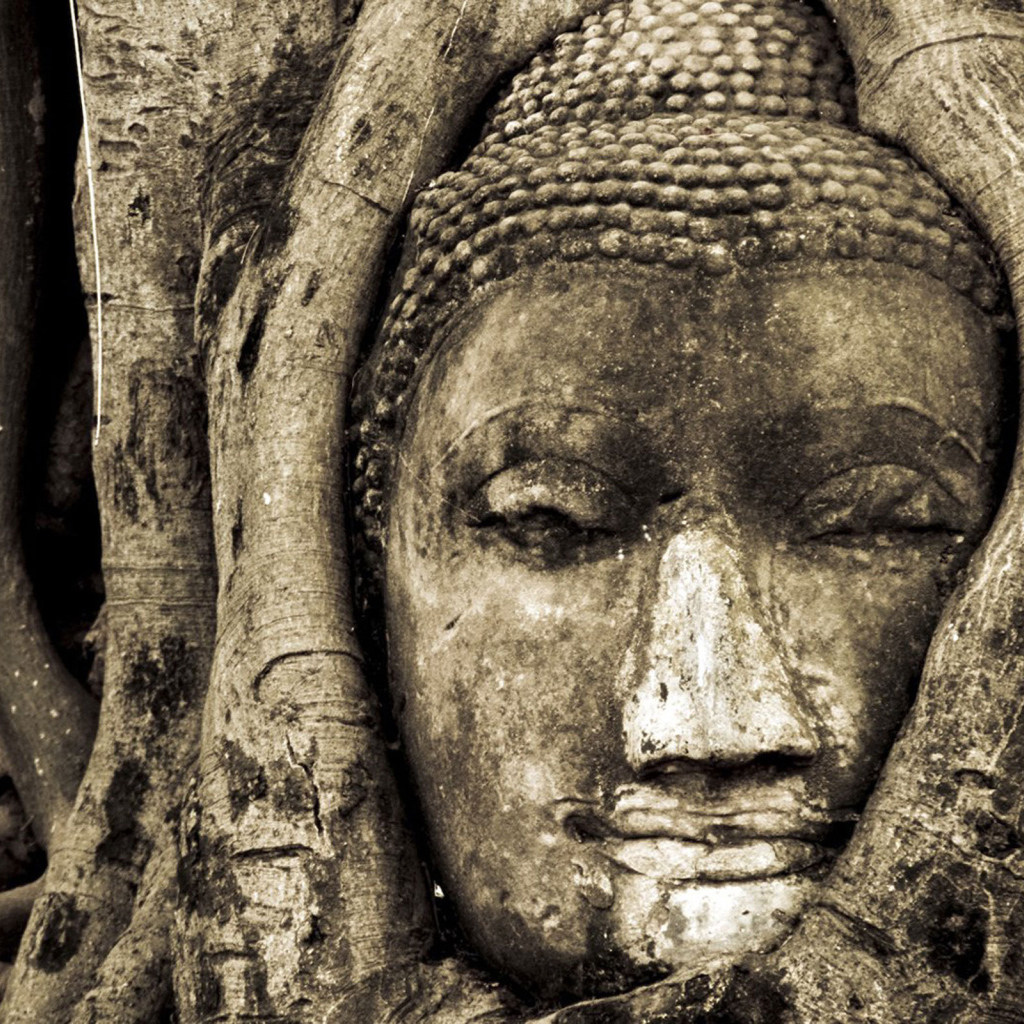 Face of Buddha in tree