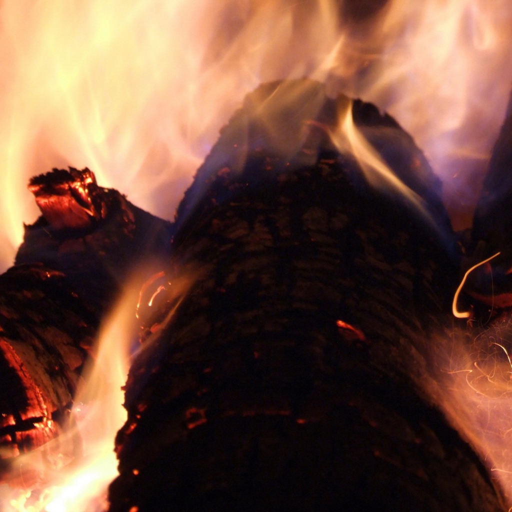 Огонь на дровах в камине