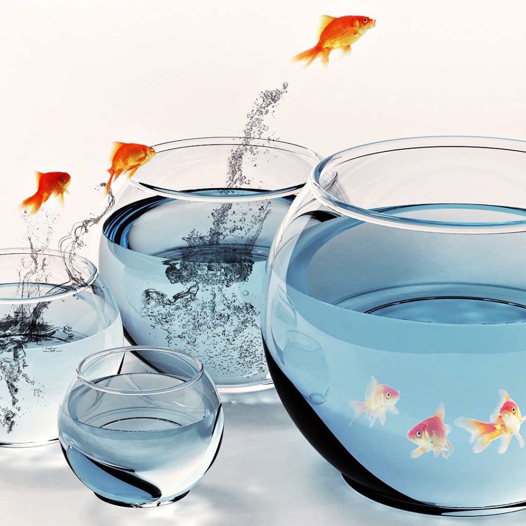 Рыбы и аквариумы