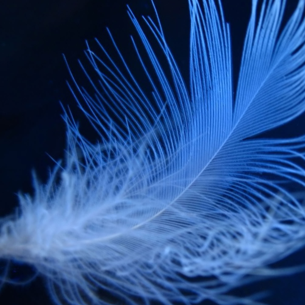 Пушистое неоновое перо