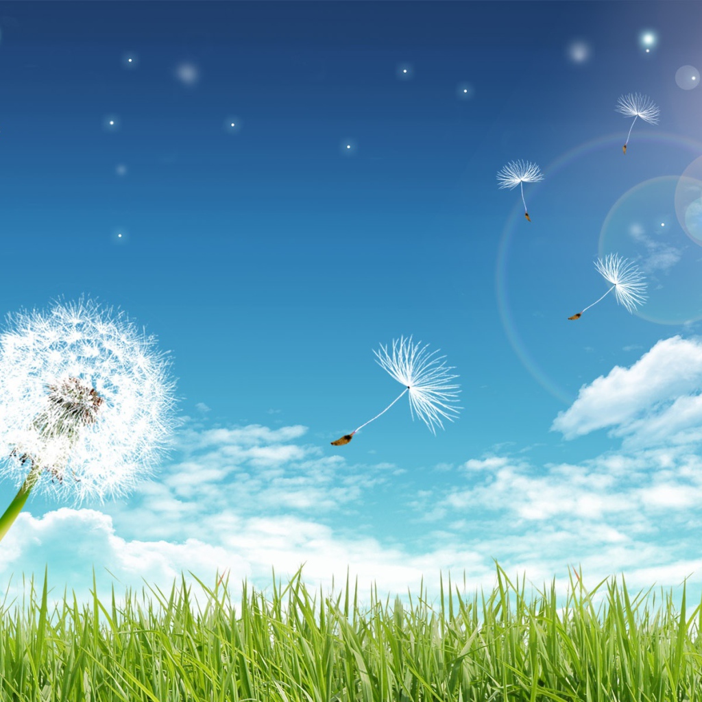 Чистые лучи солнца