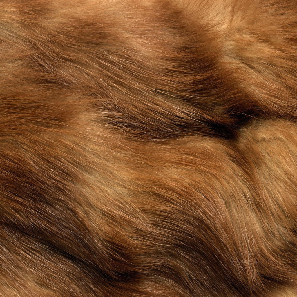 Мех животного