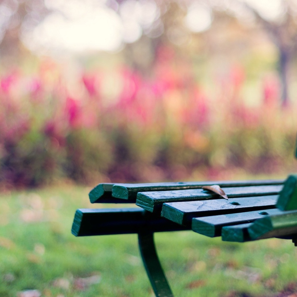 Зелёная скамейка на траве