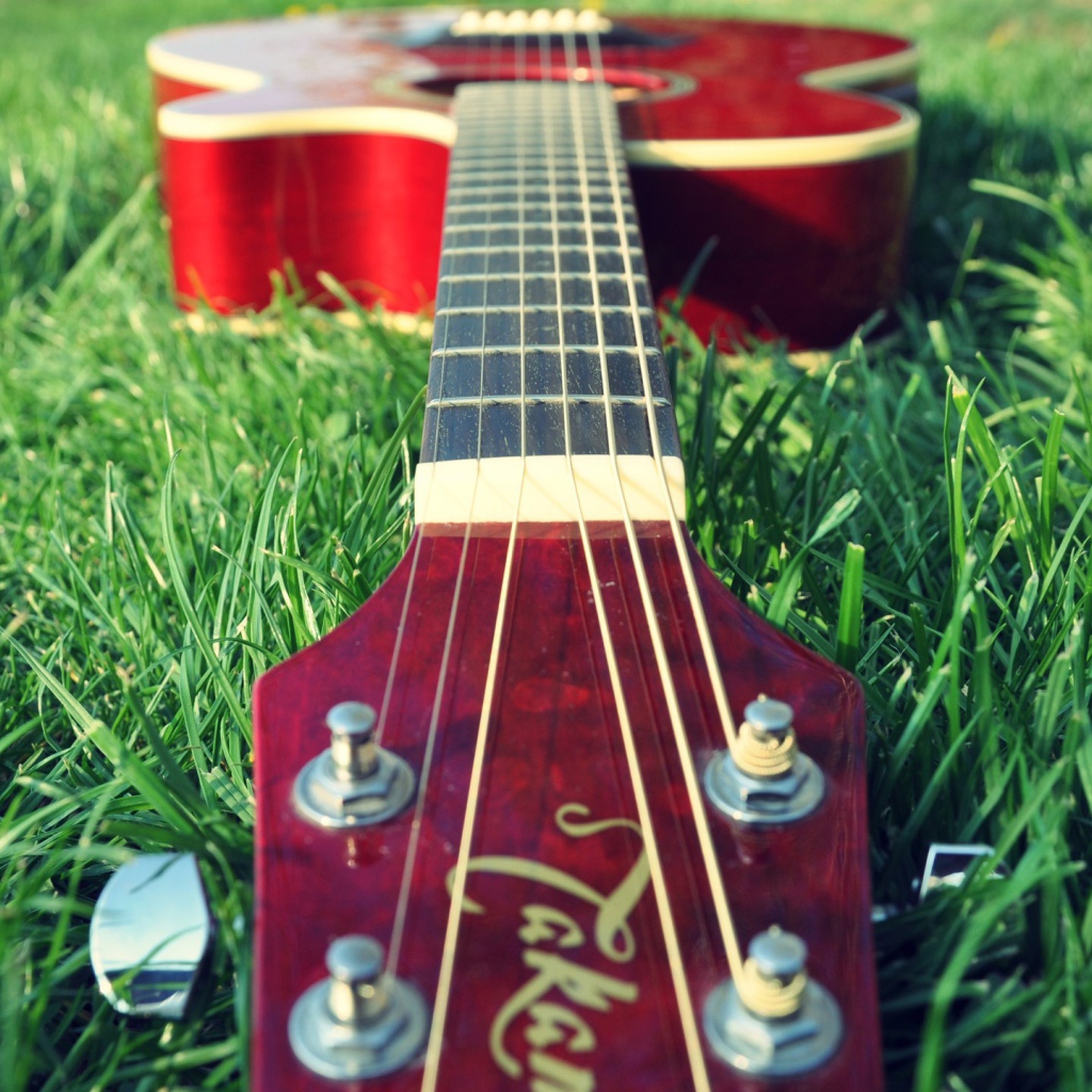 Гитара на траве