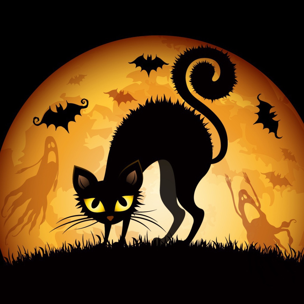 Хеллоуинский кот