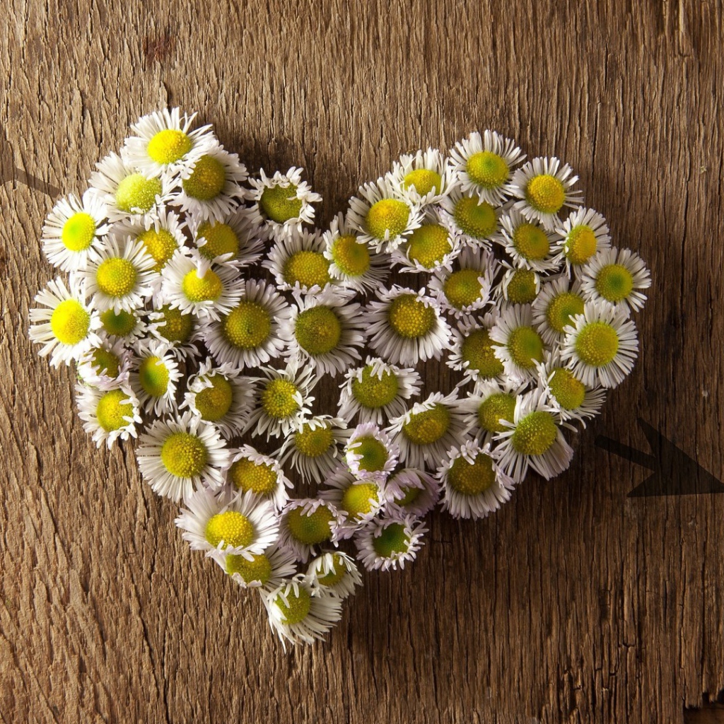 Сердечко из ромашек