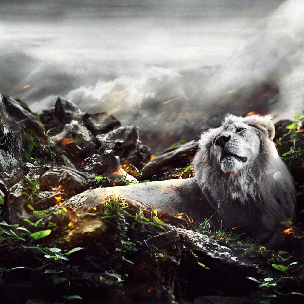 Лев в джунглях