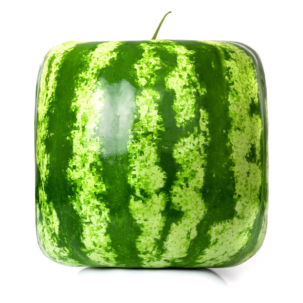 Просто квадратный арбуз