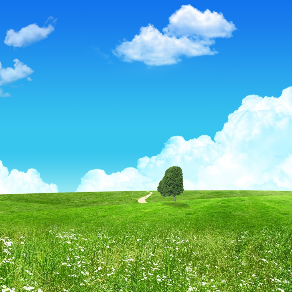 Любимый зеленый пейзаж