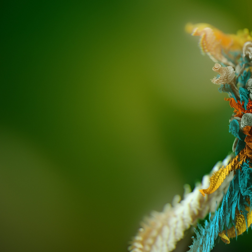 Микро объект 