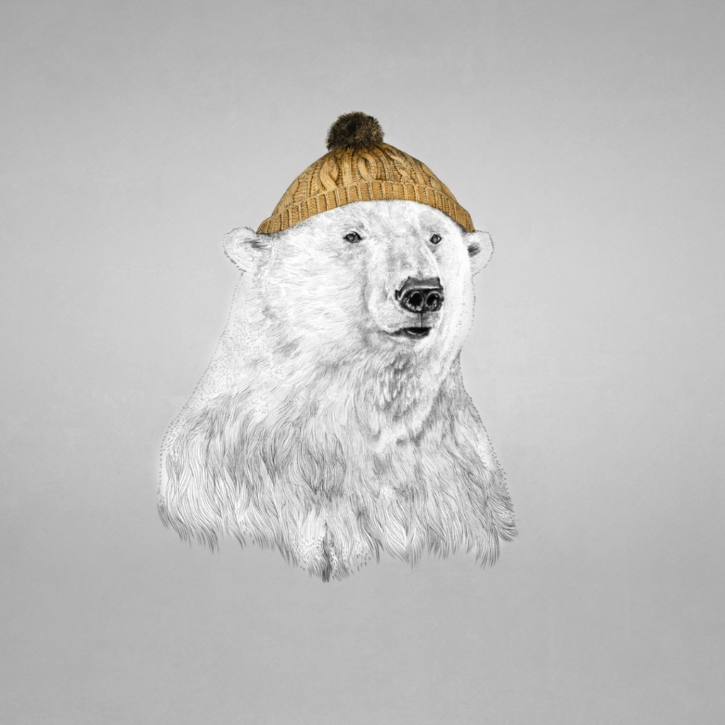 Polar bear in a cap