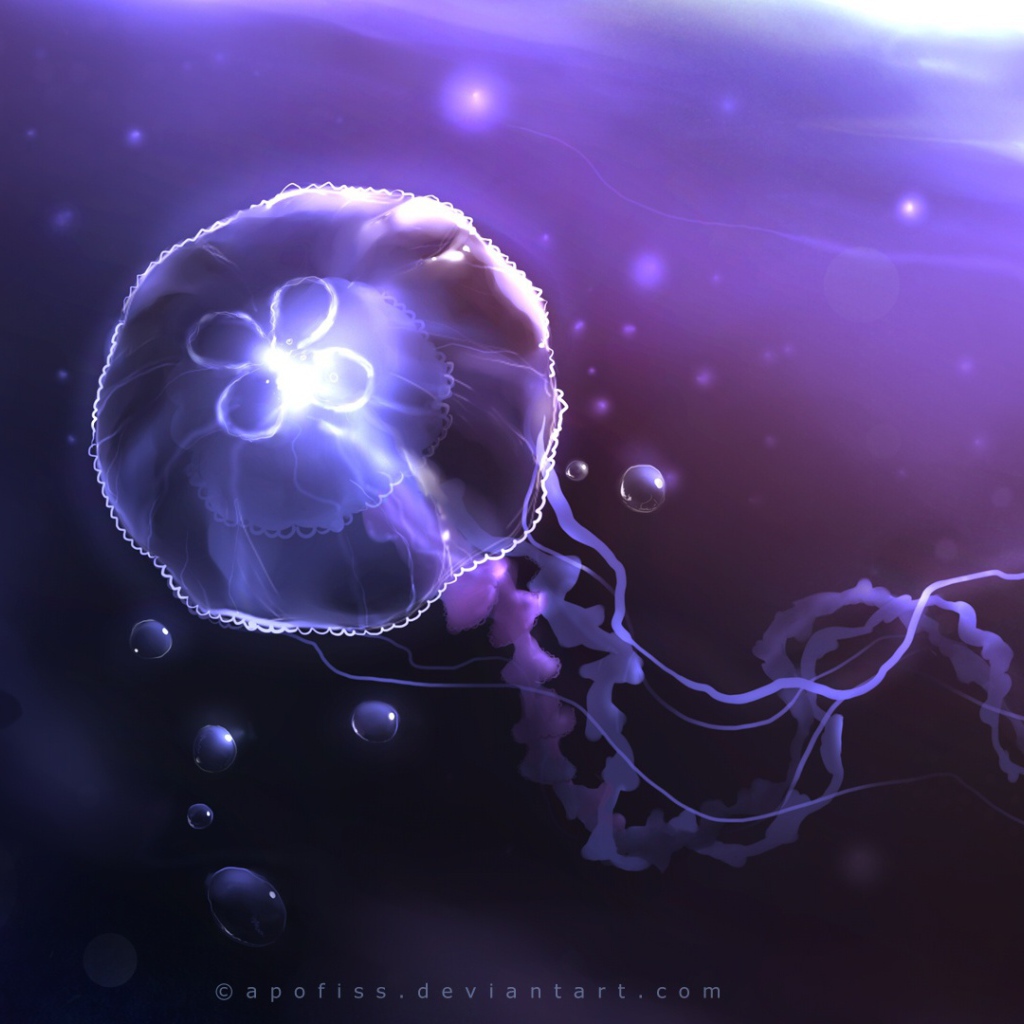 Королевская медуза