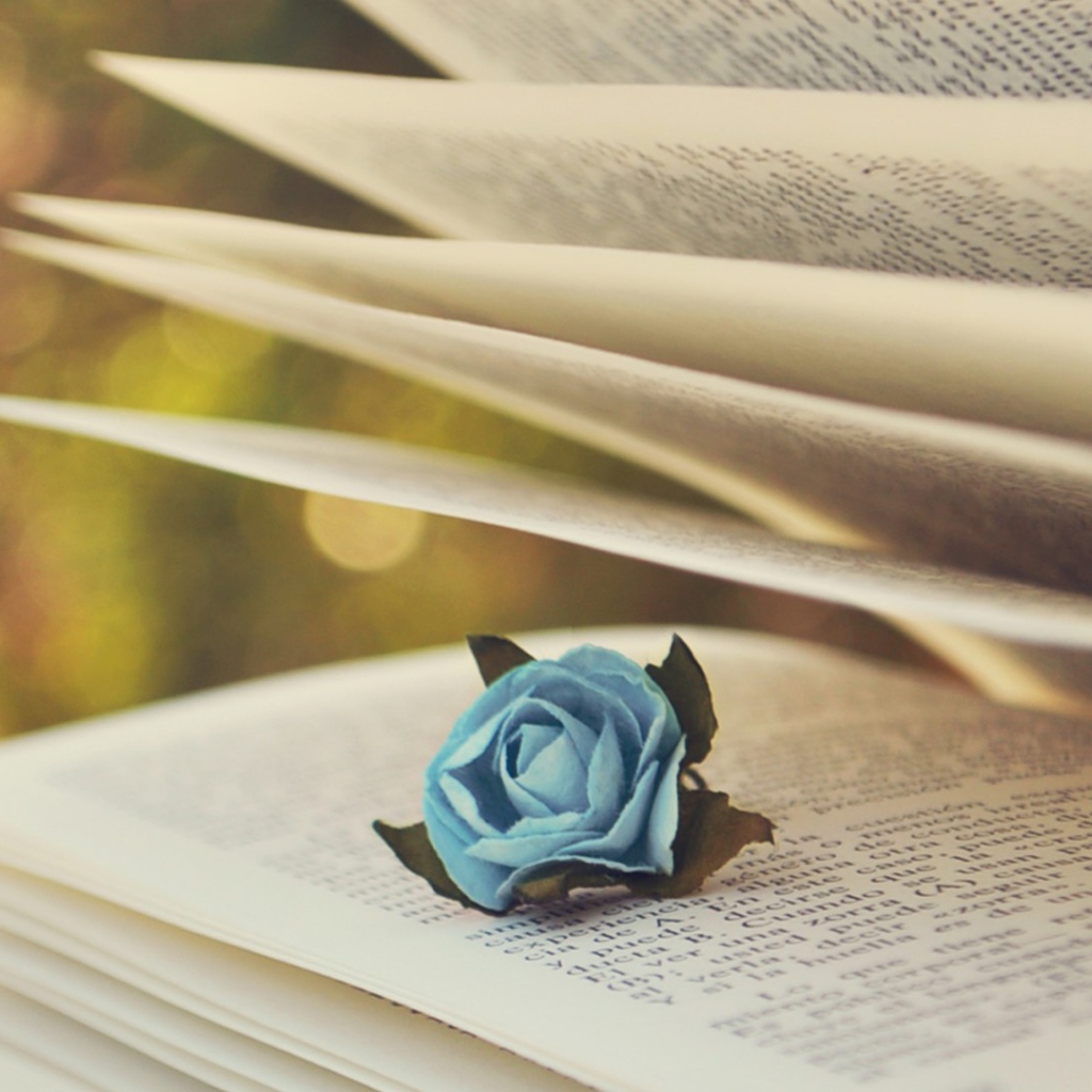 Роза в книге