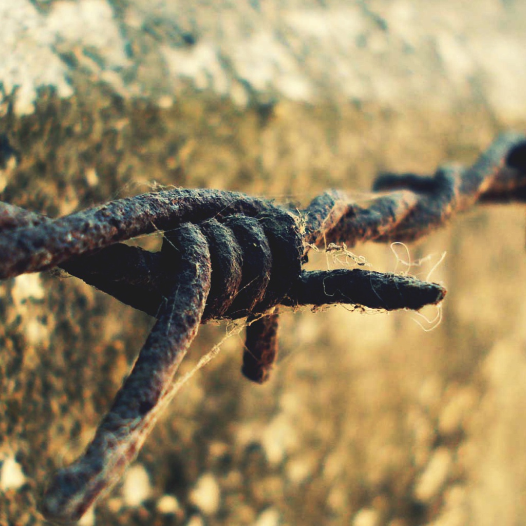 Ржавая колючая проволока