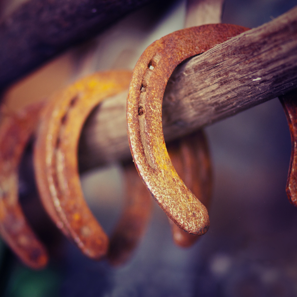 Ржавые подковы