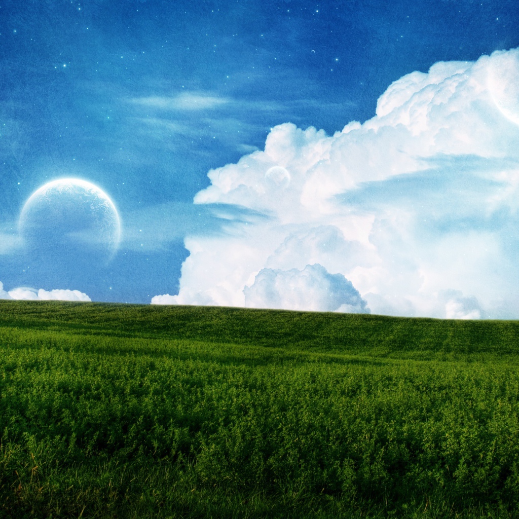 Поле и небо