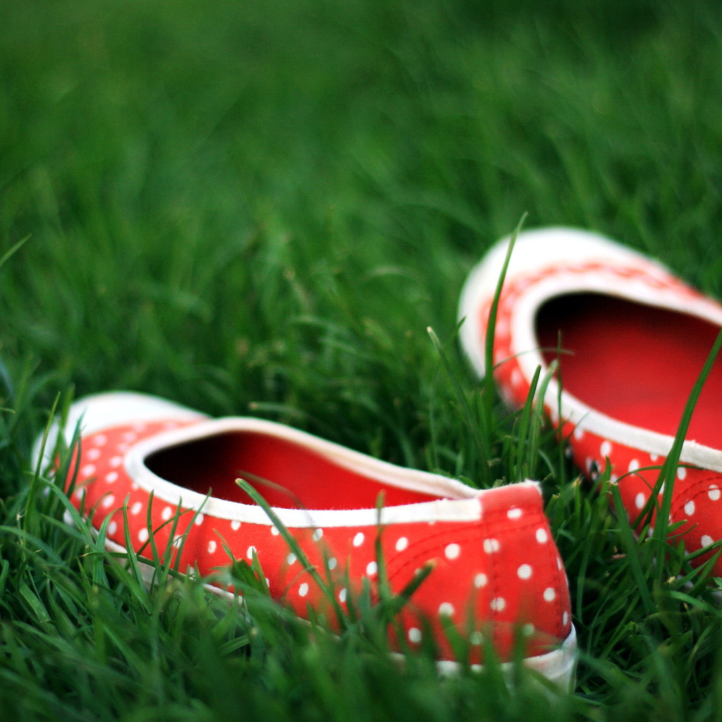 Тапочки в траве