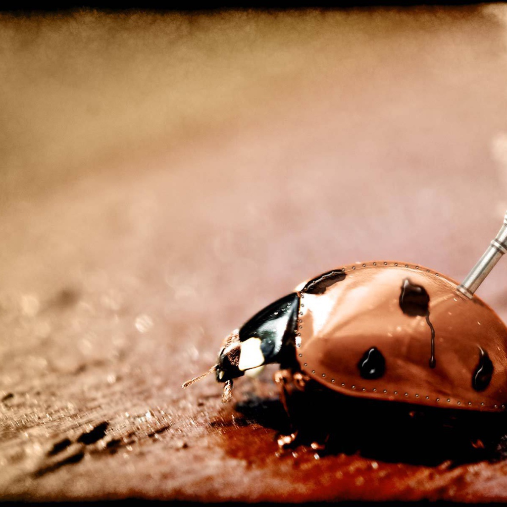 Железный жучок стимпанк