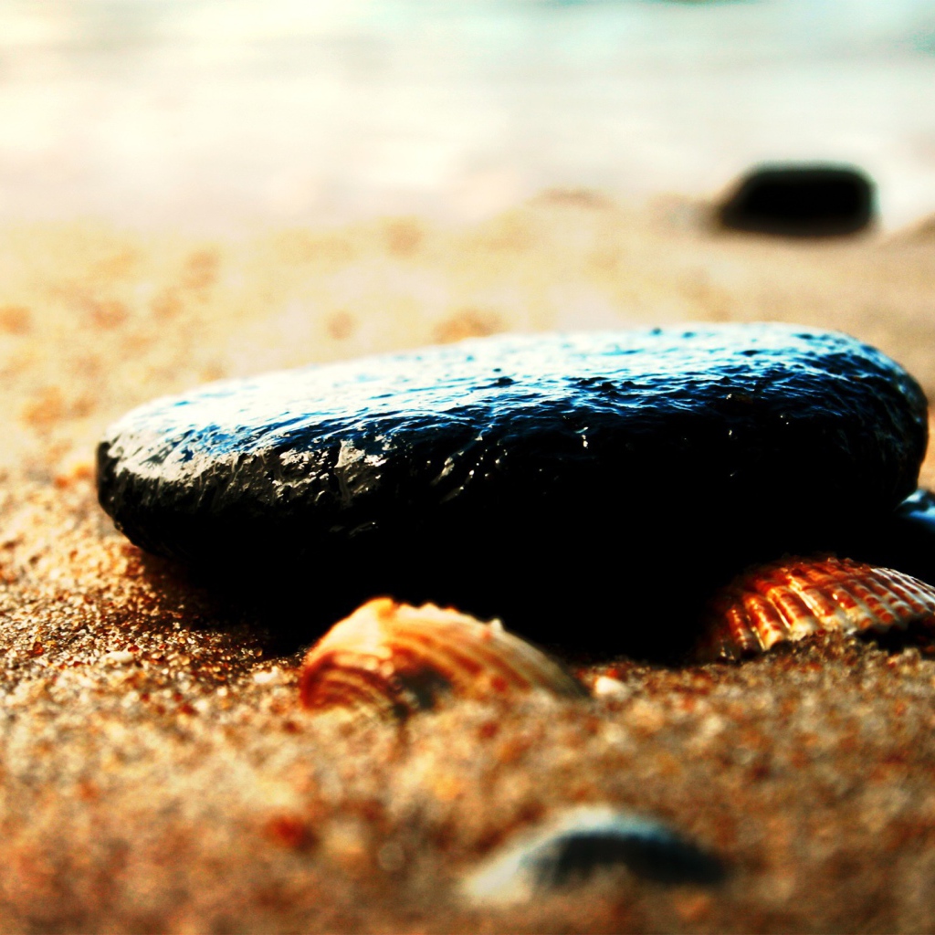 Камень и ракушки