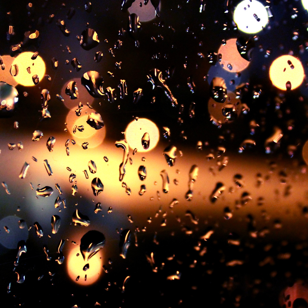 Блики на мокром стекле