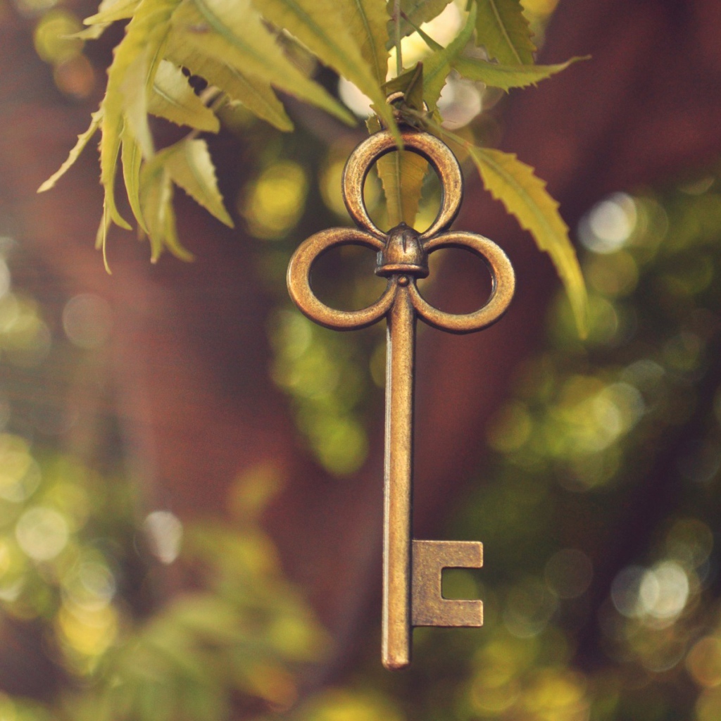 Ключ висит на ветке