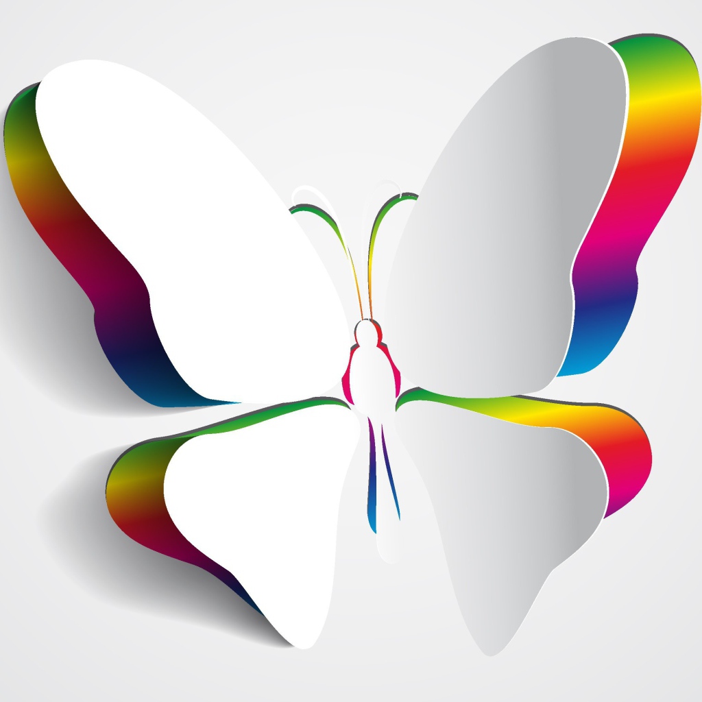 Крылья белой бабочки