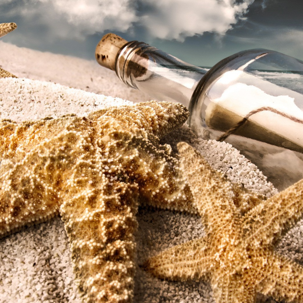 Морская звезда и бутылка с письмом