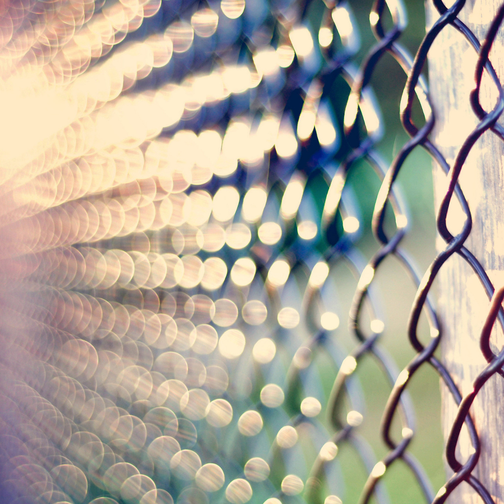 Забор из рабицы