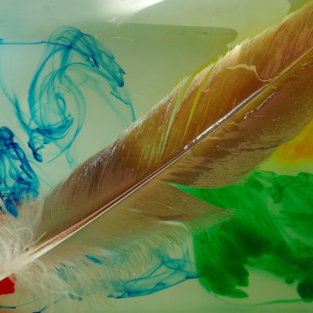 Перо и разлитые краски