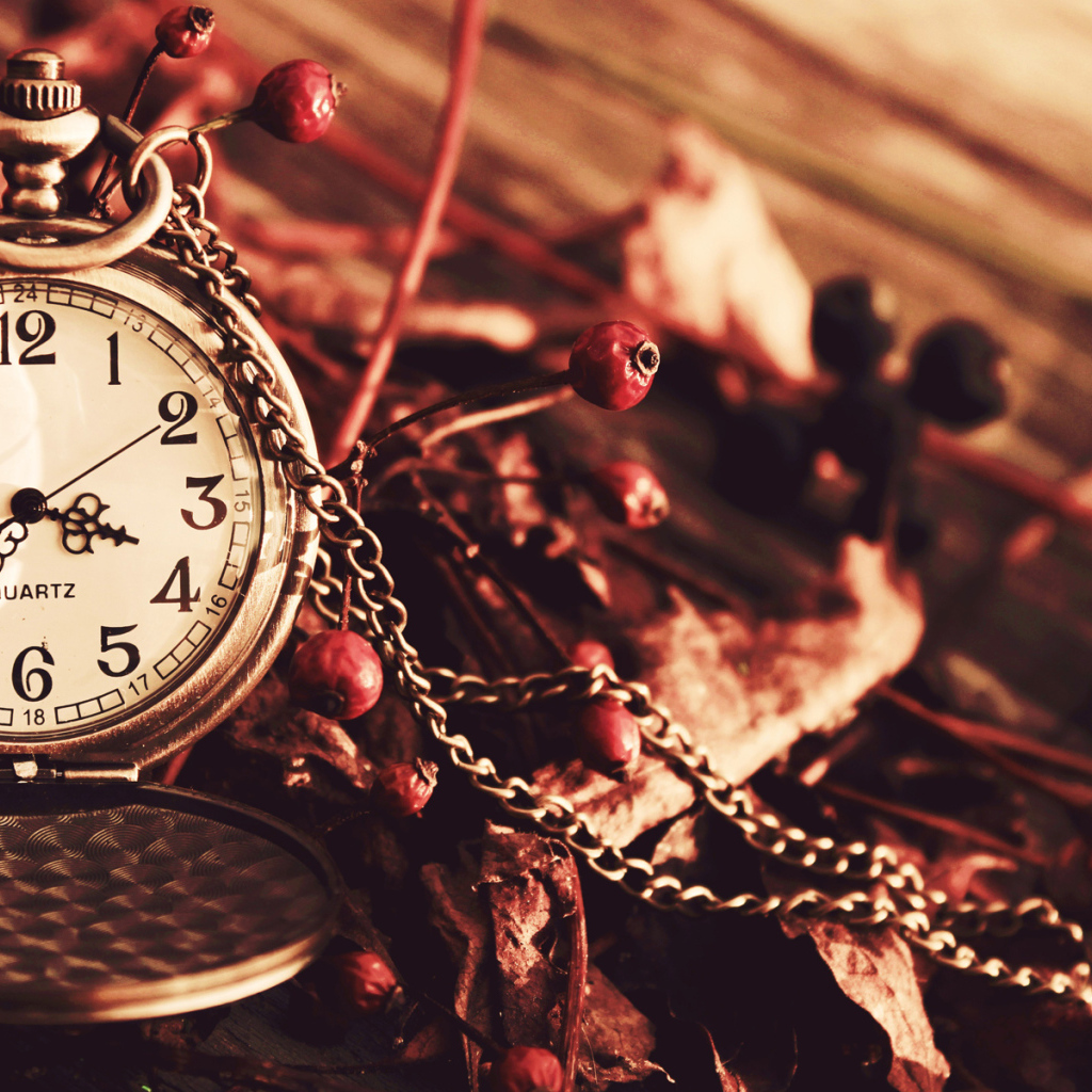 Карманные часы с цепочкой