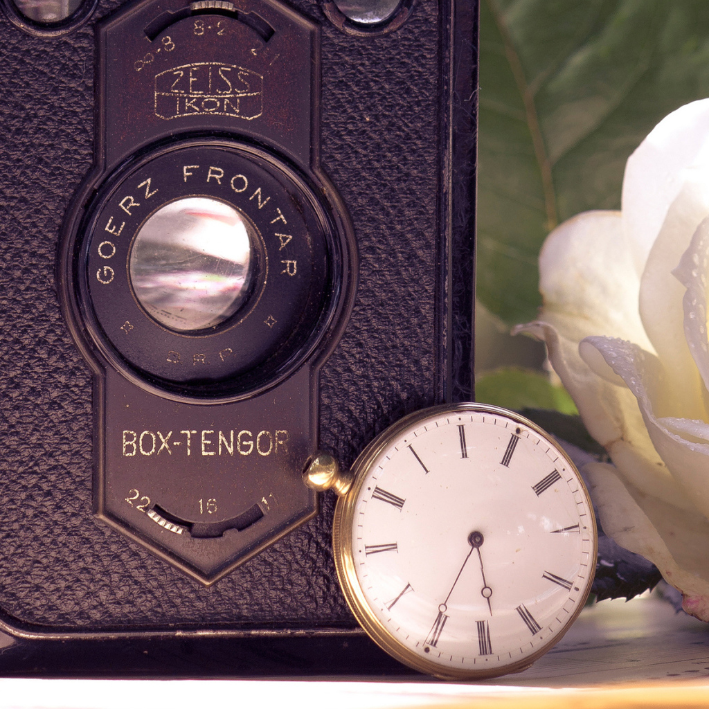 Ретро фотоаппарат и роза