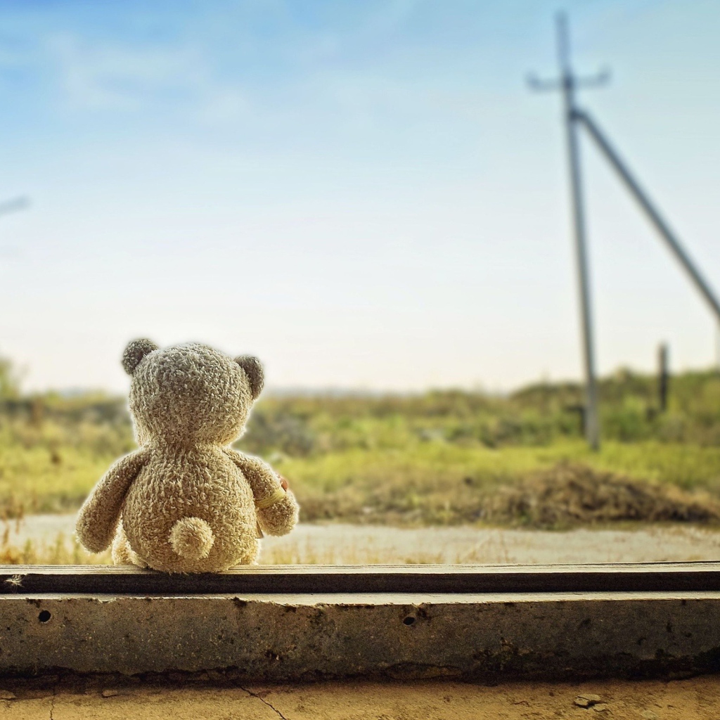 Мишка ждет свою хозяйку