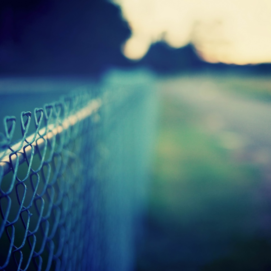 Забор из проволочной сетки