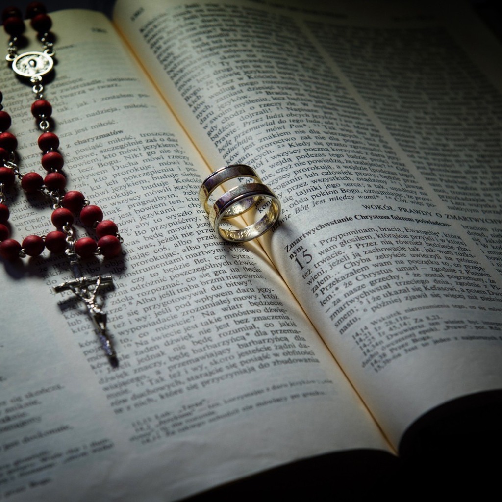 Два кольца на книге