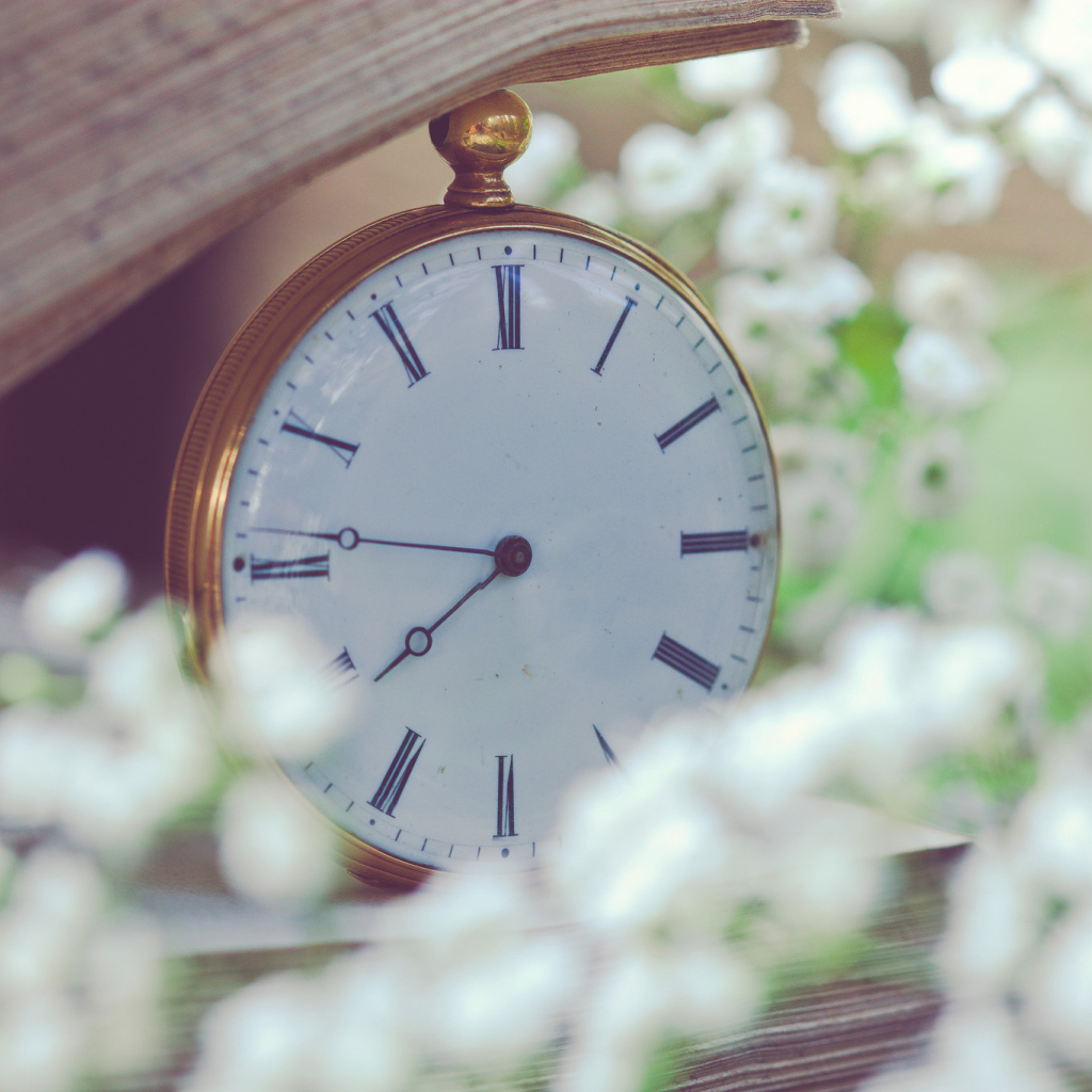 Белые карманные часы