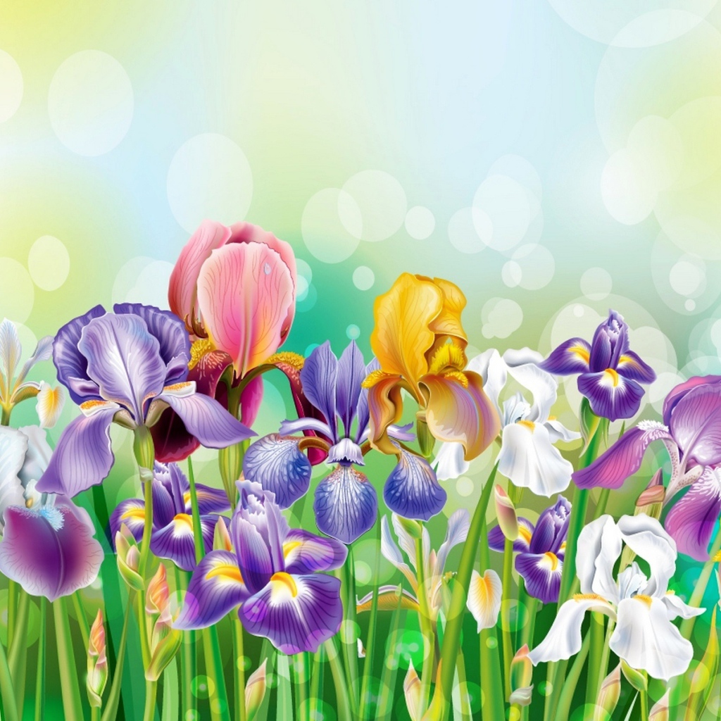 Букет полевых цветов