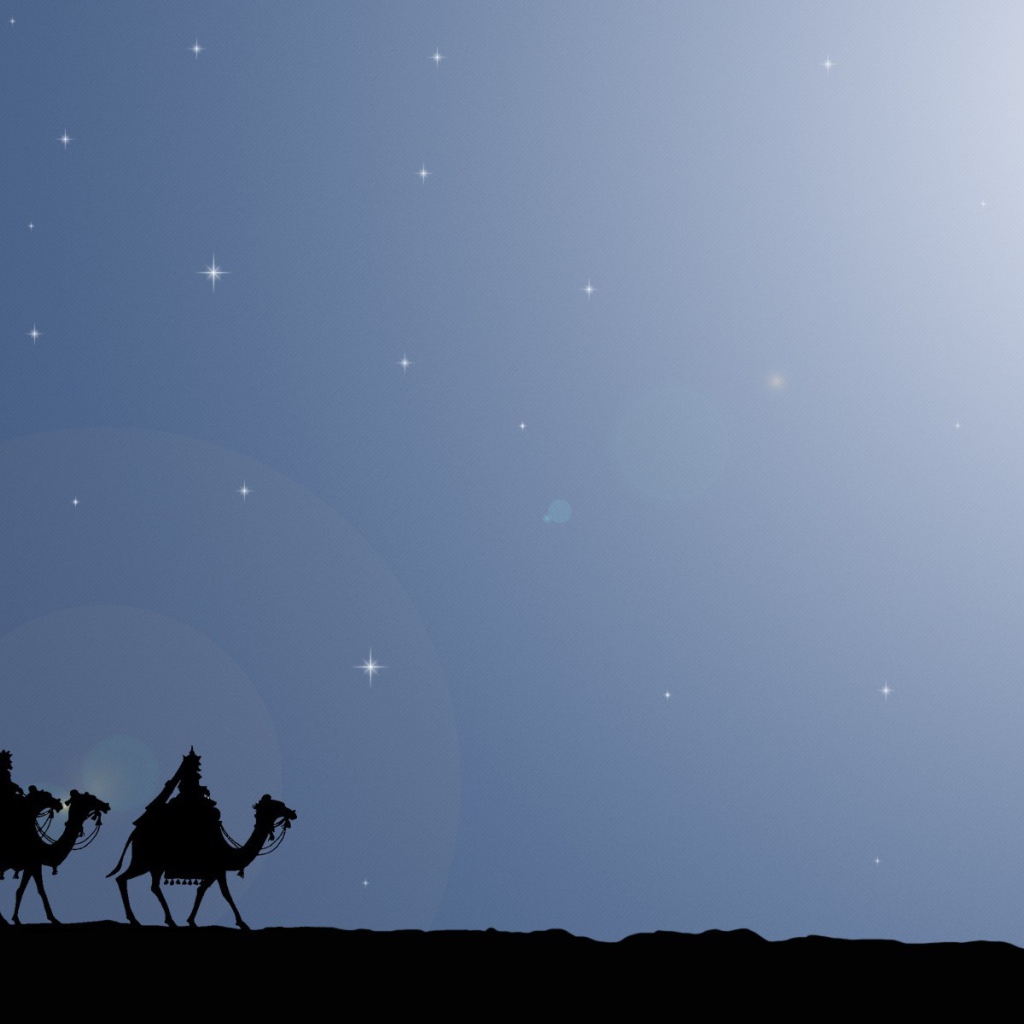 Верблюды в пустыне