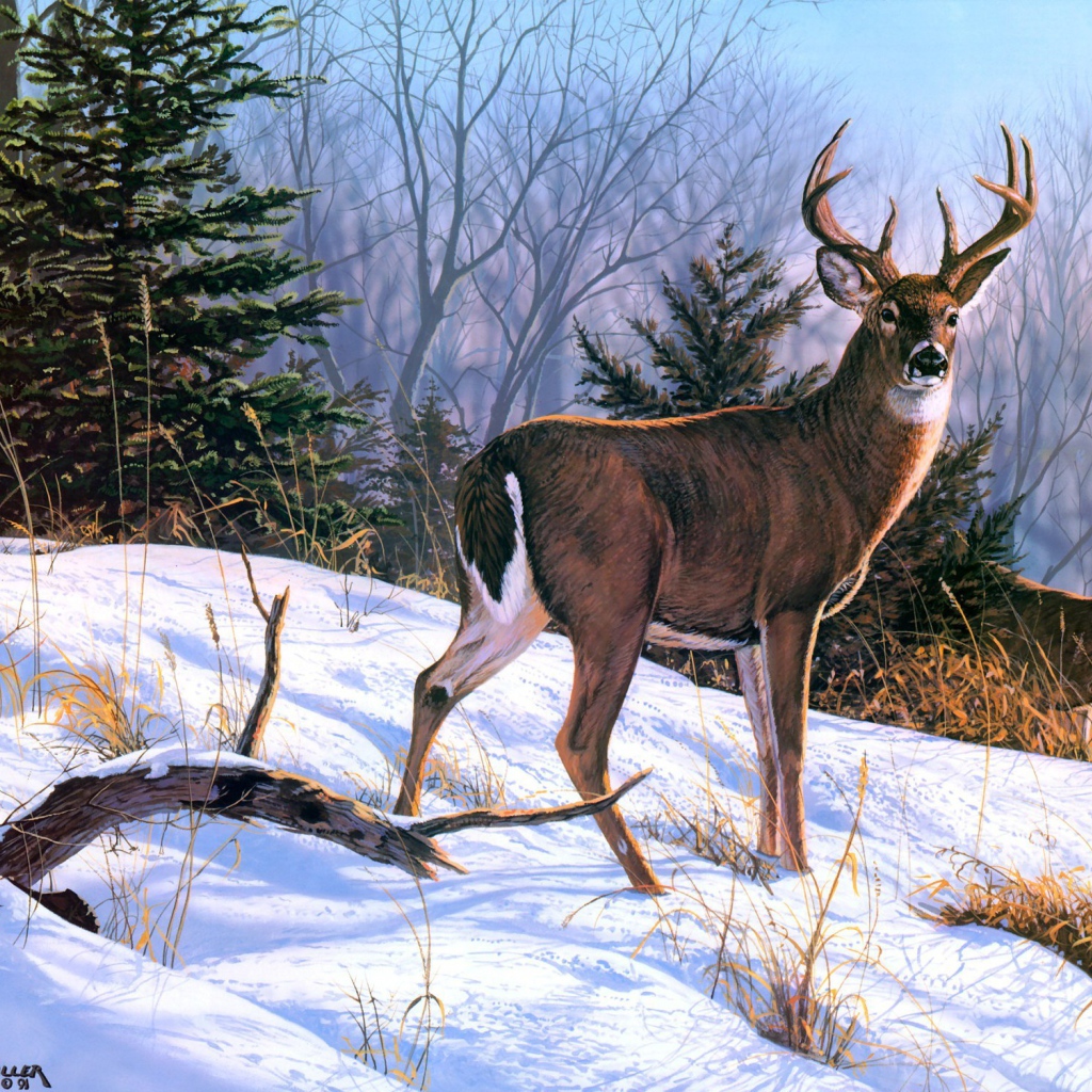 Картина Брюс Вильямс