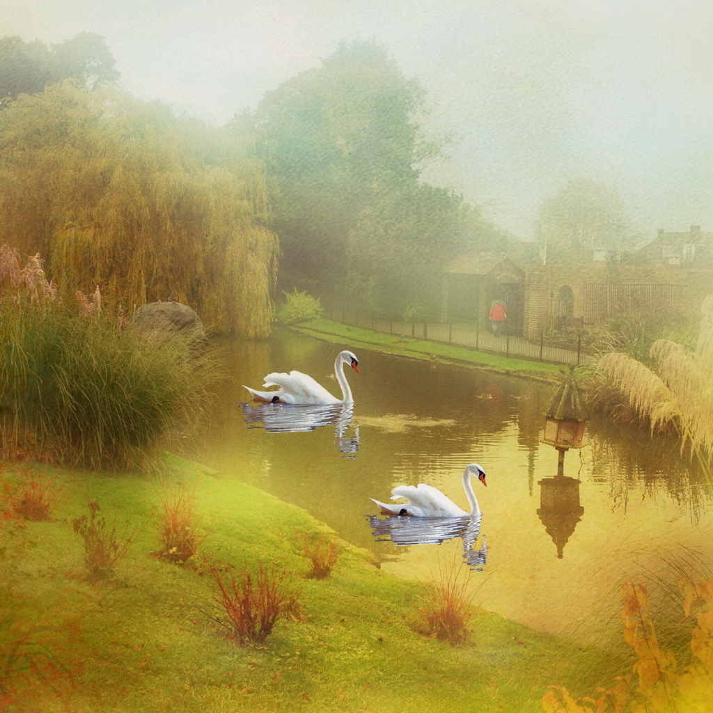 Пруд с лебедями