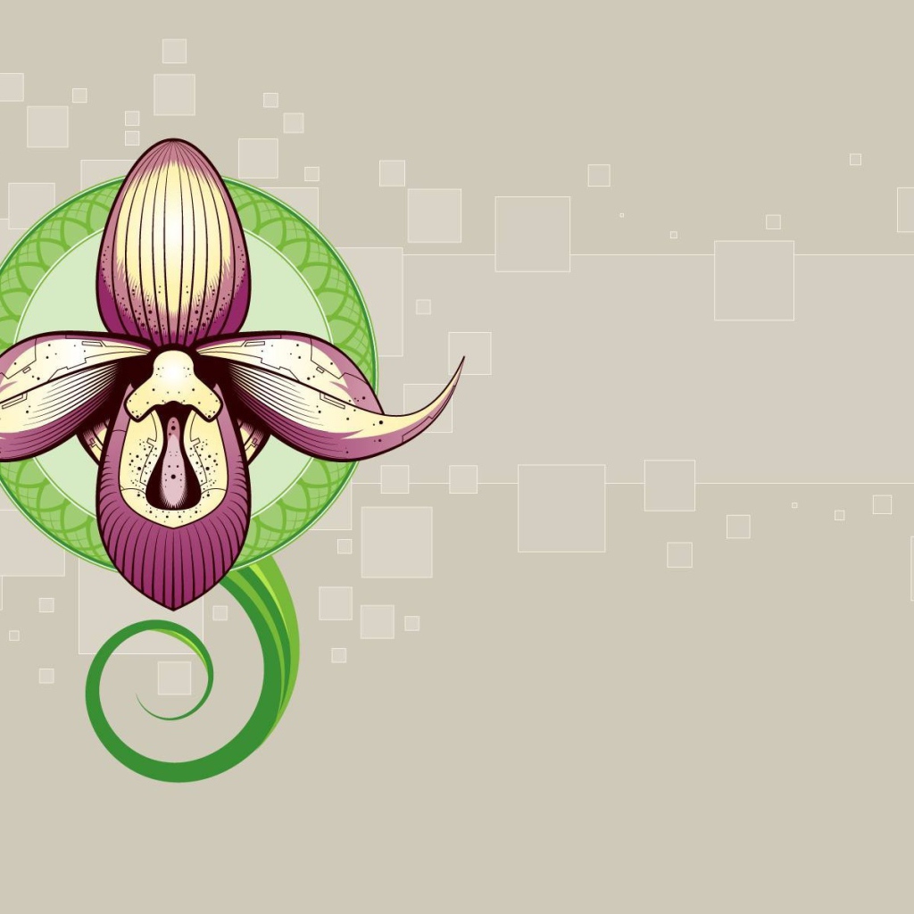 Рисунок орхидеи