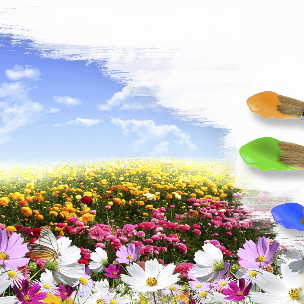 Поле цветов и кисти