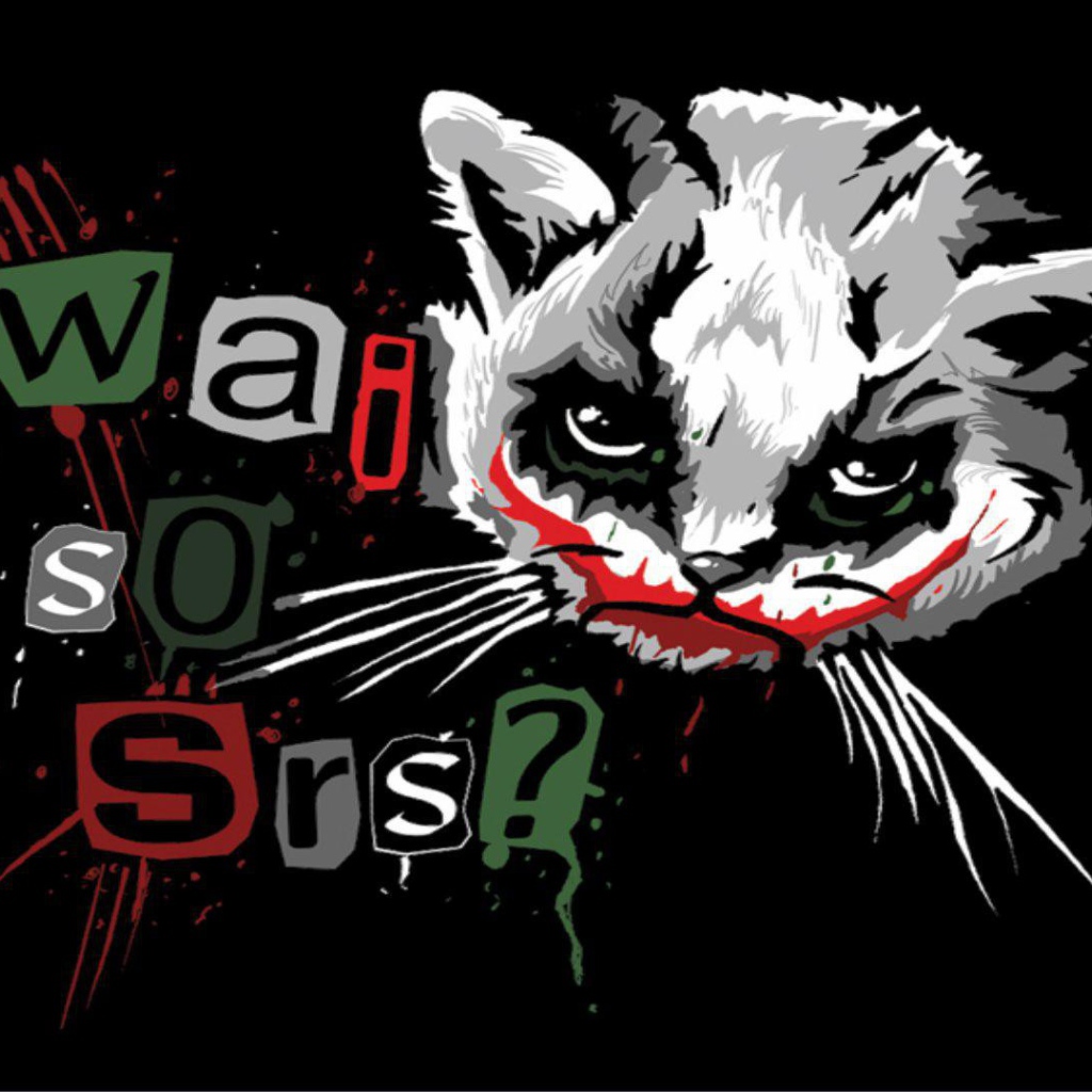 Забавный кот Джокер