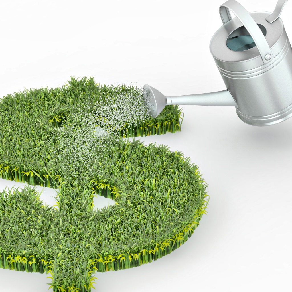 Зеленый знак доллара