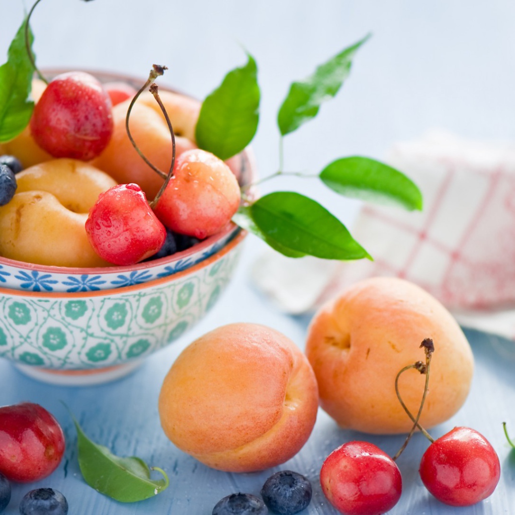 Садовые плоды