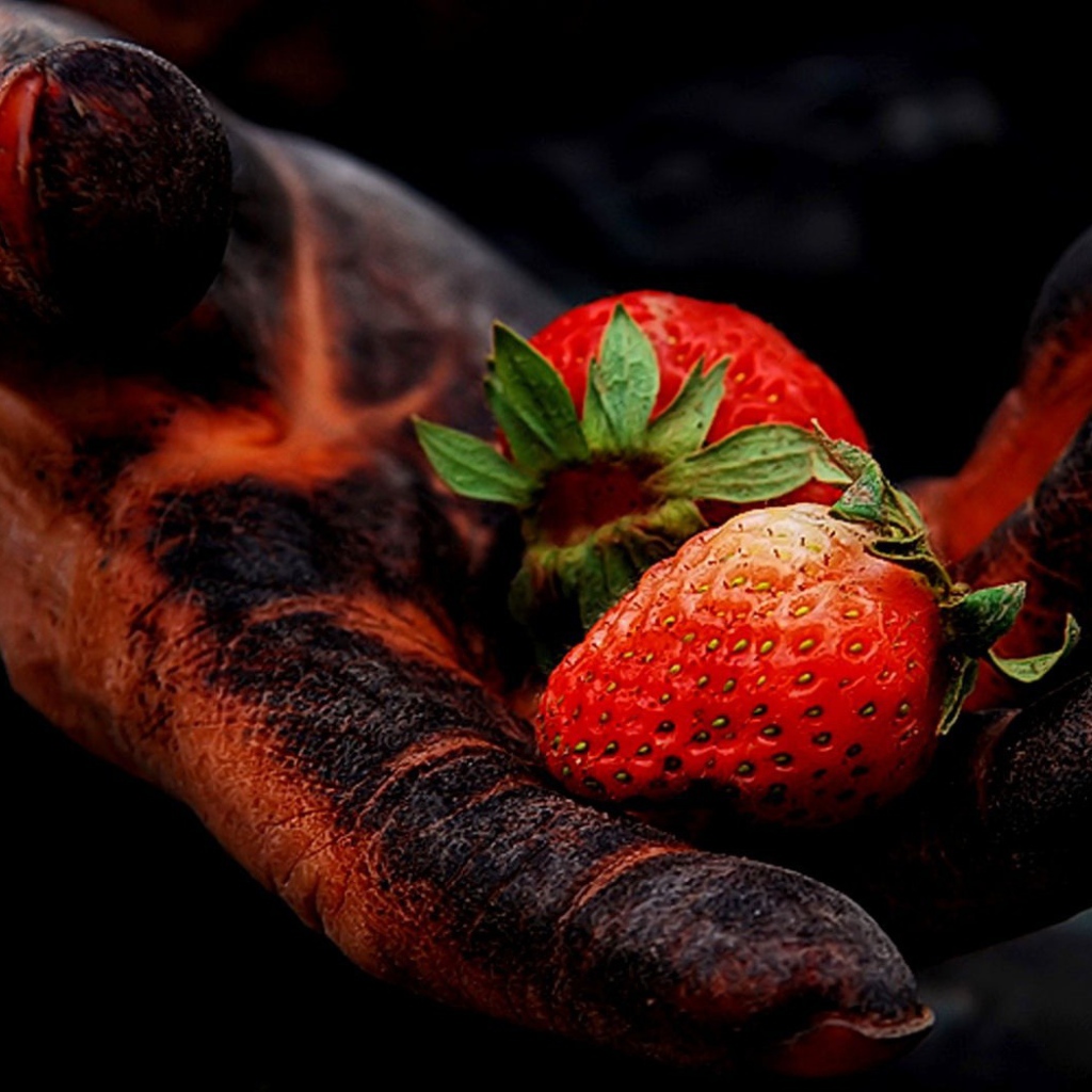 Strawberries in the black hand