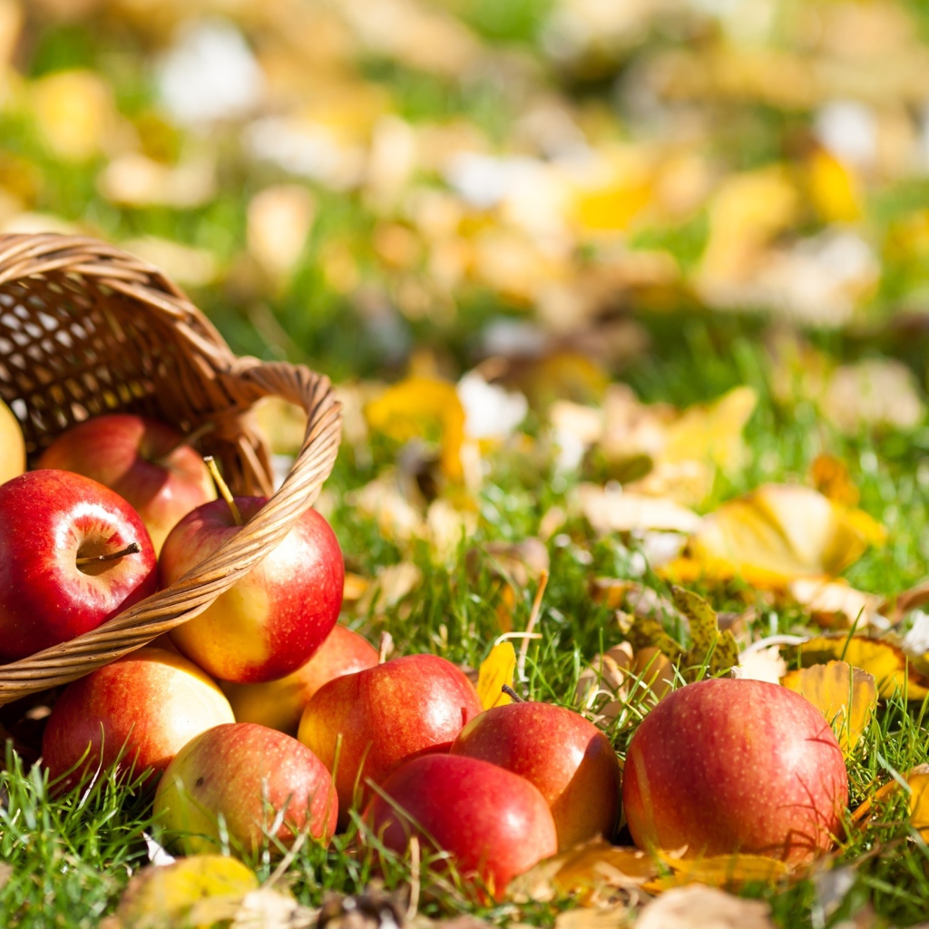 Корзина с яблоками