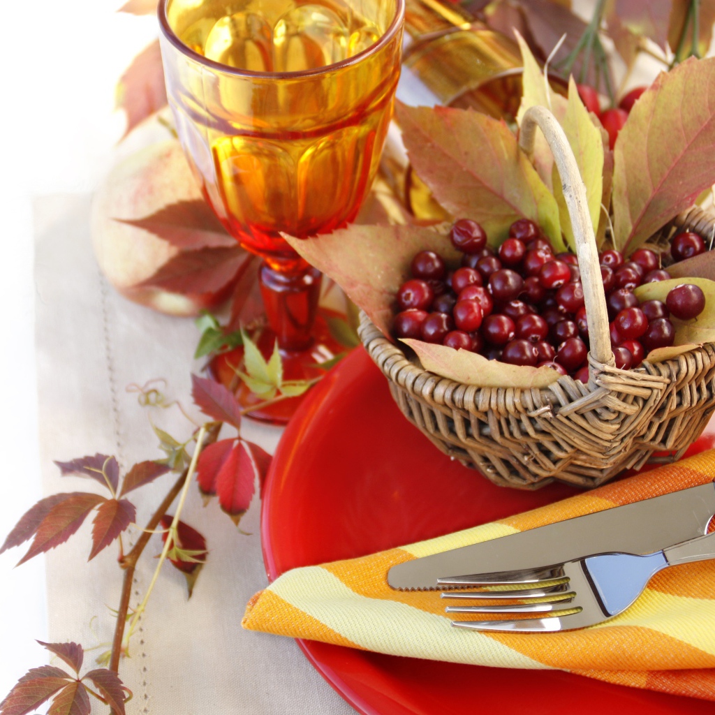 Ягоды рябины в корзине